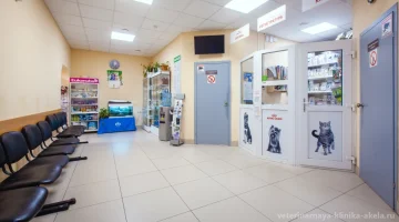 Ветеринарная клиника Акела изображение 6